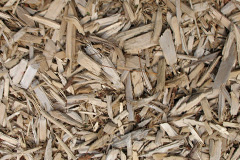 biomass boilers Whitemyres